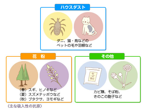 アレルギーの抗原